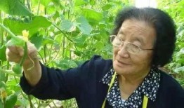 吃瓜网官网免费观看,热门剧集一网打尽！